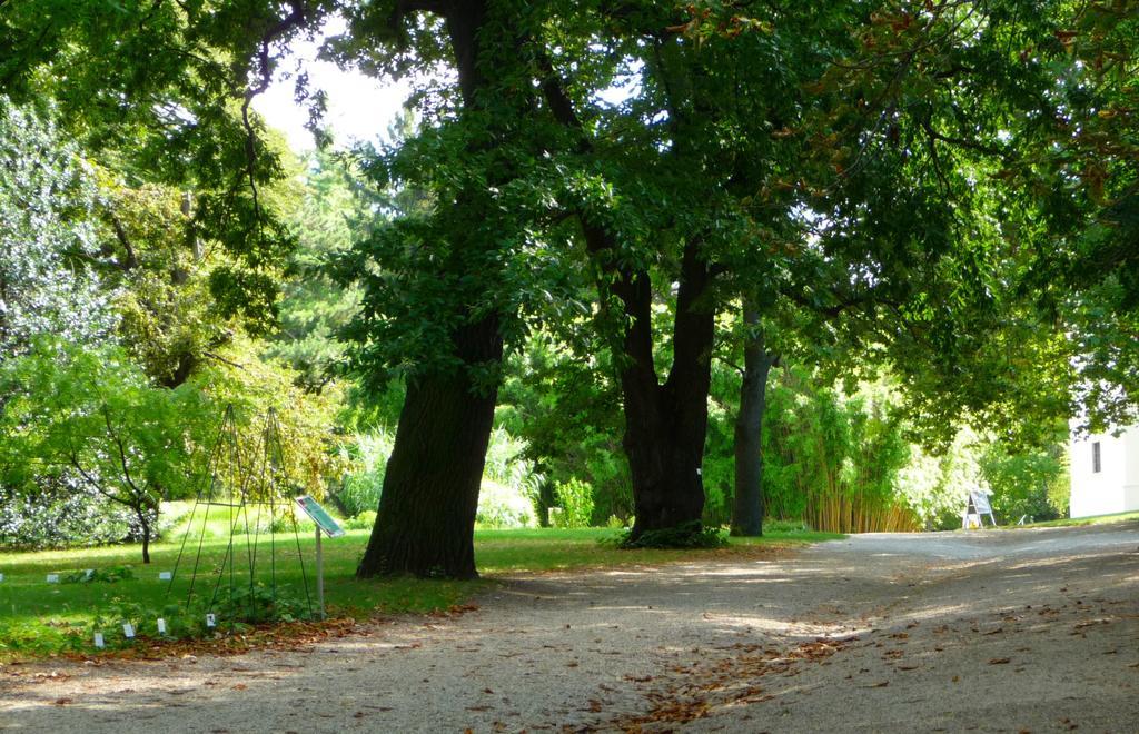 Streetview Wien - Premium Apartment Beim Belvedere Εξωτερικό φωτογραφία